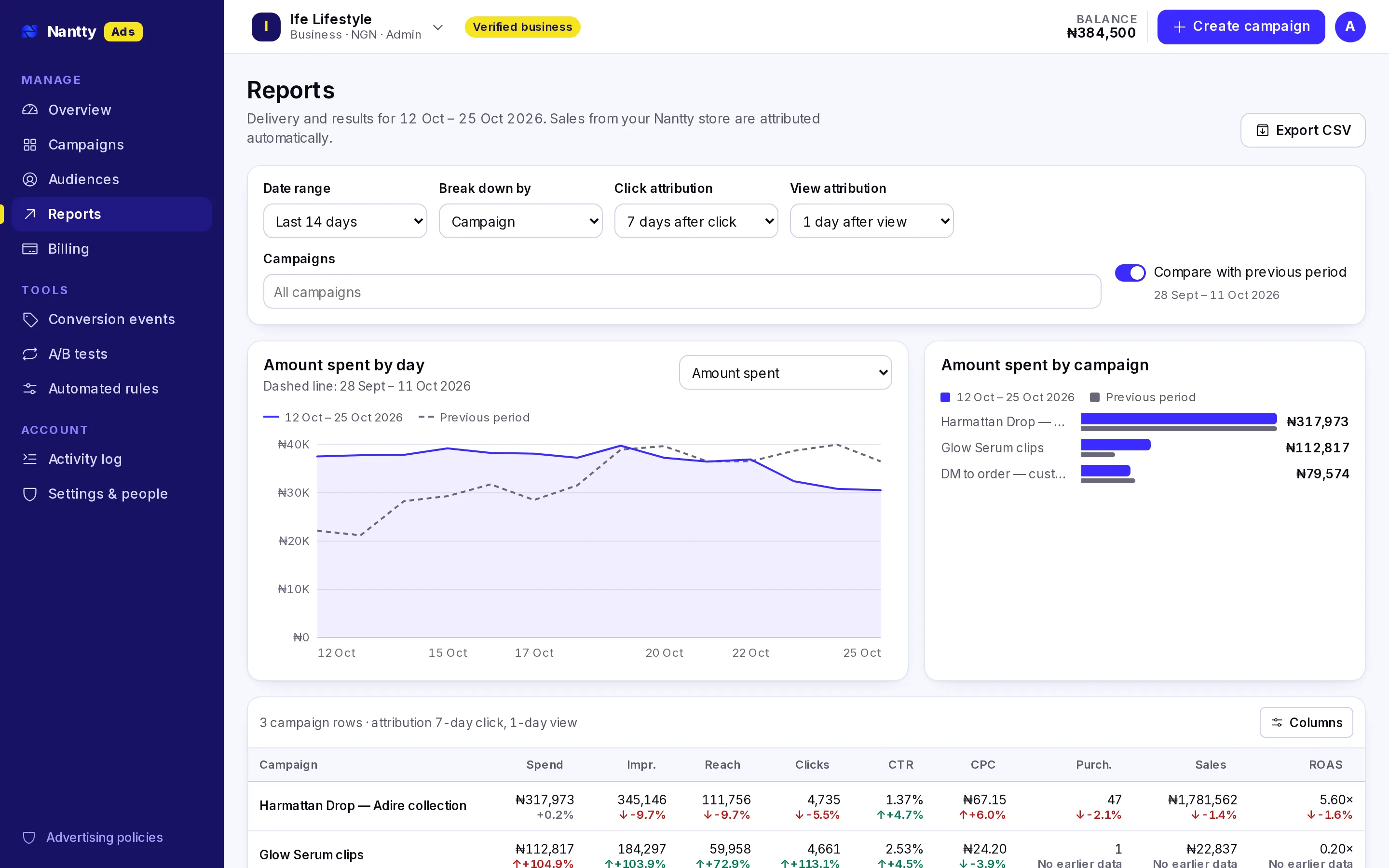 Reports page with a daily spend chart, results by placement and a breakdown table